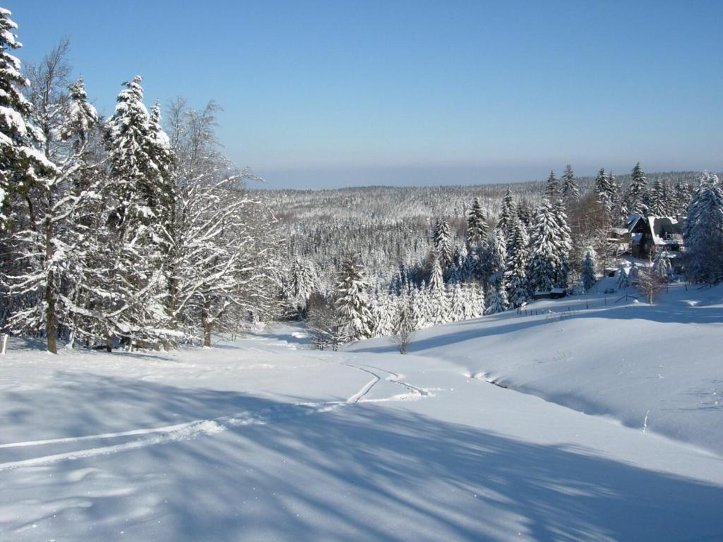فندق Helenenhof Altenberg المظهر الخارجي الصورة